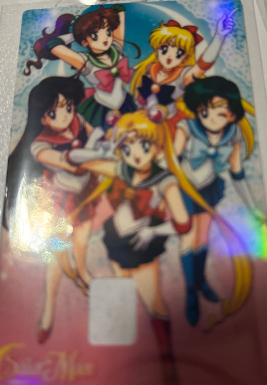 Sailor Moon gang 