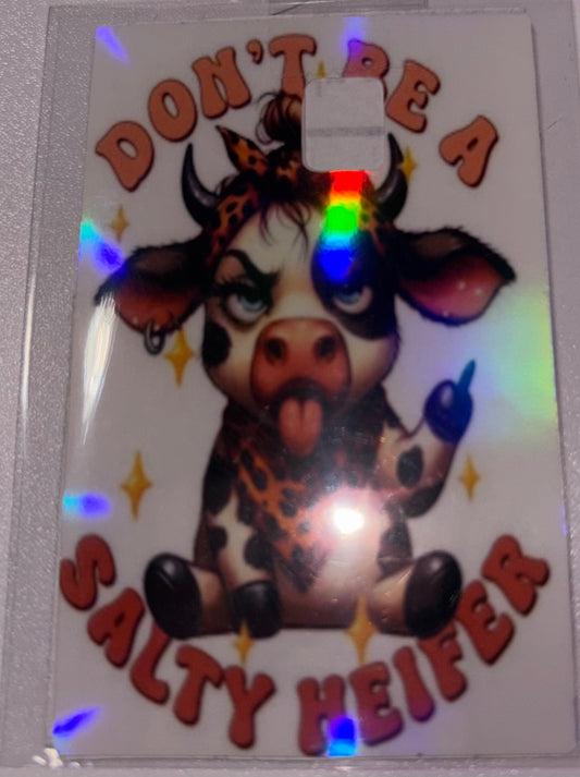 Cow salty heifer