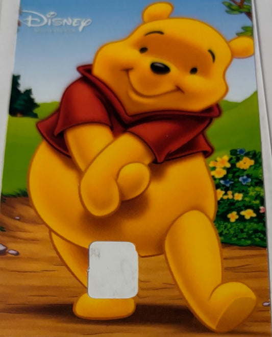 Winnie the Pooh 