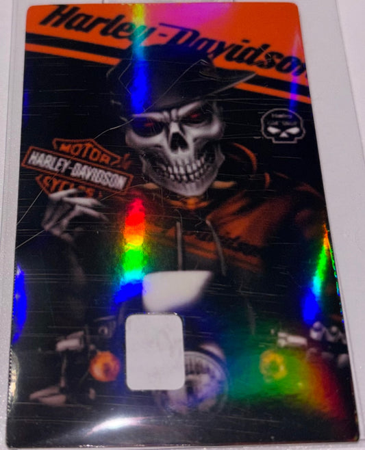 Harley Davidson skeleton biker 