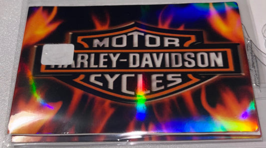 Harley Davidson logo & flames 