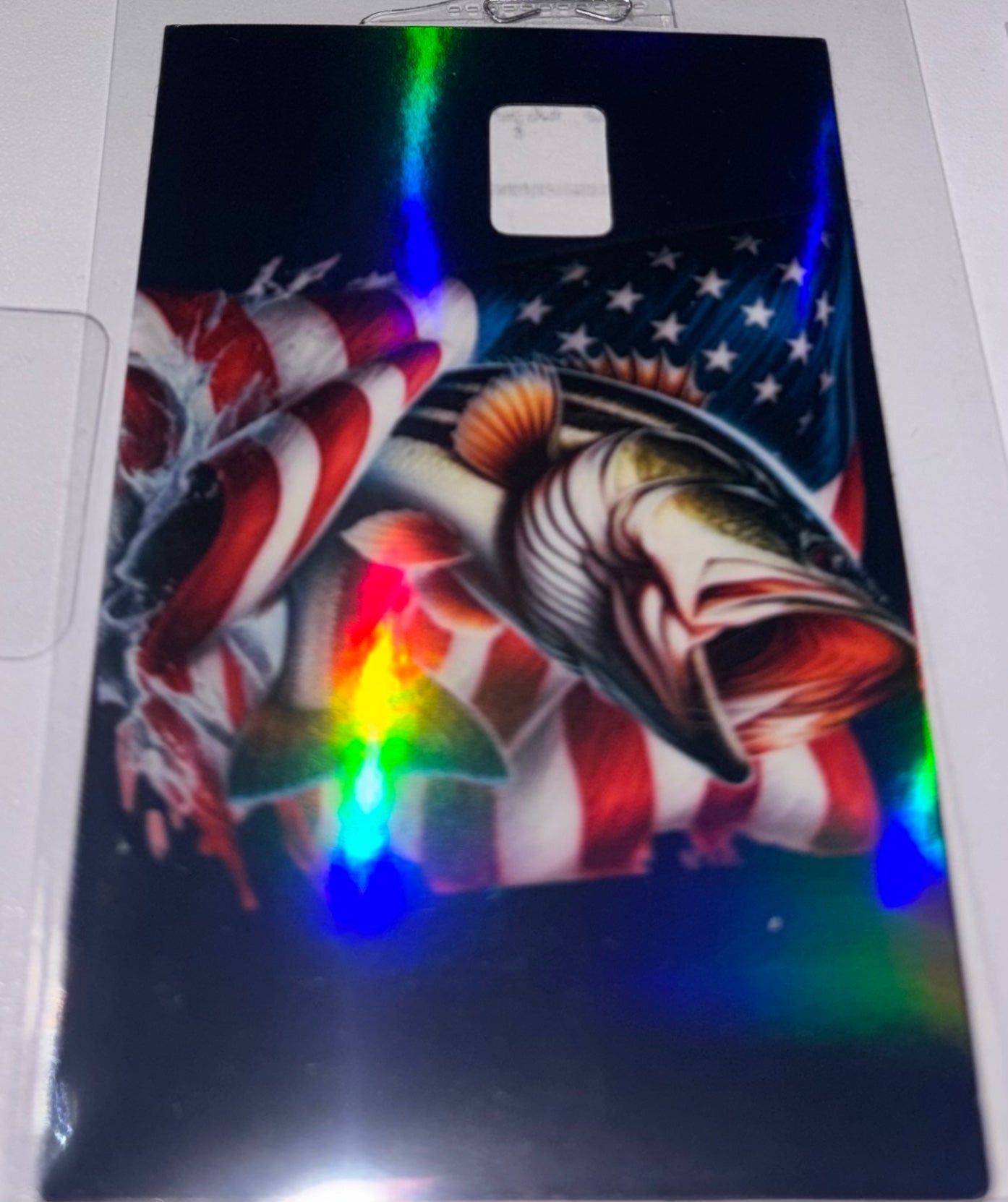 Fish and flag