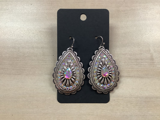 Silver Western Earrings