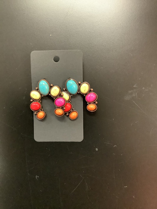 Multi Color Western Earrings