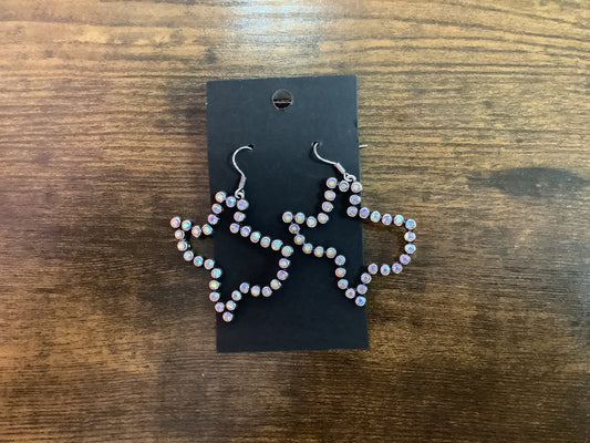 Texas Shape Earrings